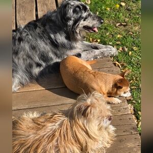 Meet your Posher, Jenni